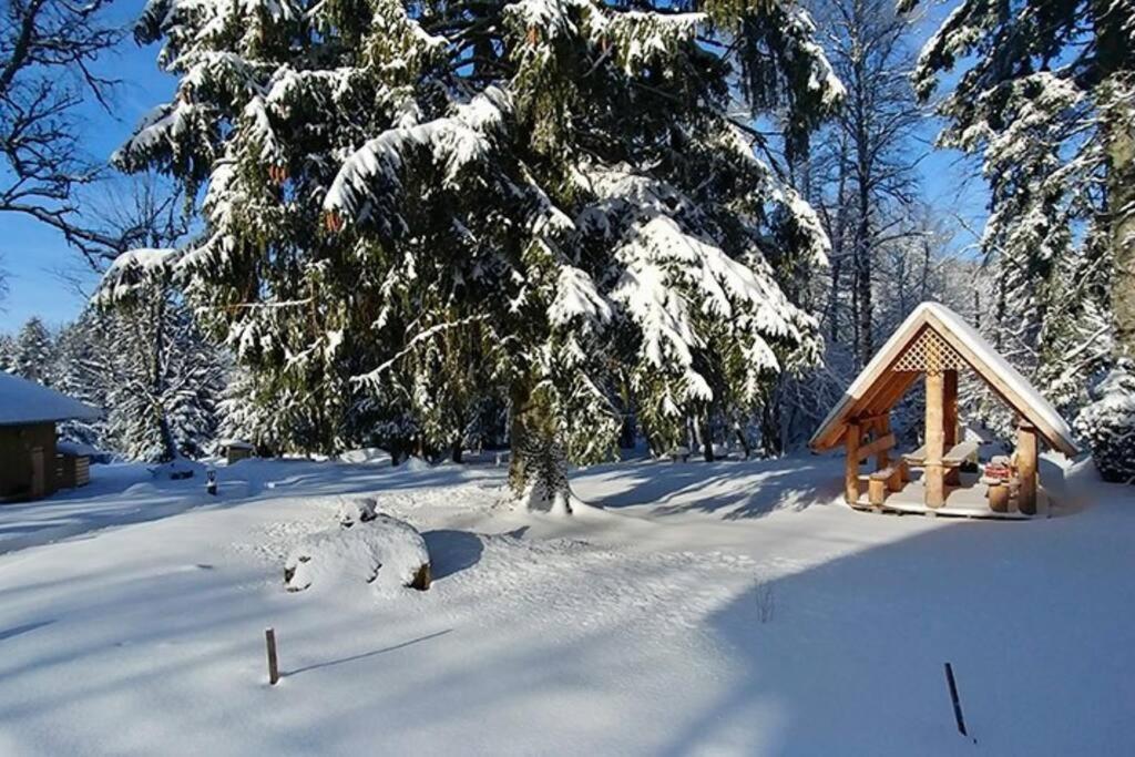 Le Petit Loup, Appartement Neuf Avec Jardin Gerbépal Exteriör bild